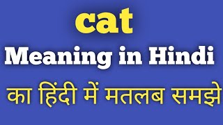 Cat Hindi meaning words funny youtubeshorts trending viralvideo comedy ytshorts 1onTrending [upl. by Ocsisnarf]