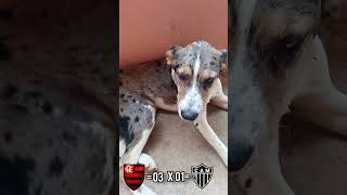 Picolé atleticano humor zueirama comedia zedamanga atleticomineiro flamengo [upl. by Packston202]