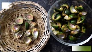 Semal doddae ki sabzi bombax ceiba Recipe Delicious  Chatpati Rare Indian Recipe [upl. by Mccollum]