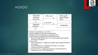 Arritmias Ventriculares Primarias parte 2  Drs Agorrody y Canessa [upl. by Arni]