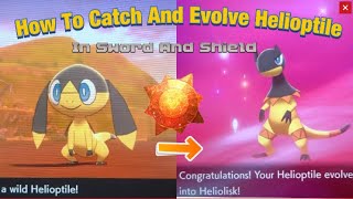 HOW TO GET Helioptile And Evolve It Into Heliolisk In Sword And Shield [upl. by Eibbor466]