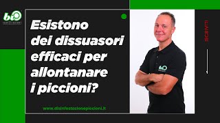 Esistono dei dissuasori efficaci per allontanare i piccioni [upl. by Spratt924]