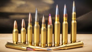 Best Long Range Calibers in 2024 Weve Tested Them All [upl. by Landan927]