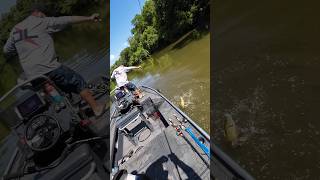 Double Up Double Smallmouth Fishing River Boat BassFishing Water Jump Flood Hurricane [upl. by Fellows]