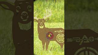 Compound bow vs Steel target hushlife elkcountry deer bowhunting [upl. by Lohcin]