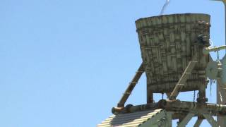 The Tipping Bucket  At Shipwreck Island Waterpark [upl. by Yeslehc897]