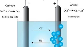 Electrolysis of molten sodium chloride  exam question [upl. by Hanselka104]