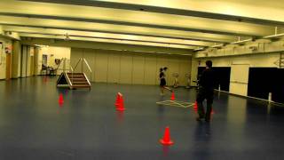 RCMP  GRC PARE  TAPE Physical Abilities Requirement Evaluation [upl. by Ruthann]