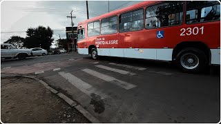 Caminhando pela RESTINGA  PORTO ALEGRE  RS BRASIL [upl. by Juliann]