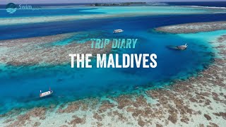 The Maldives  SwimTrek Trip Diary [upl. by Aidnyl375]