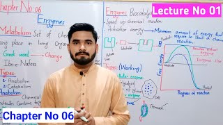 Enzymes Class 9 In Urdu Hindi By HaiderAli  Lecture No 01  Chapter No 06  Biology Lecture Series [upl. by Eerak504]