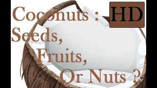 What Are Coconuts Seeds Fruits Or Nuts [upl. by Lilybelle]