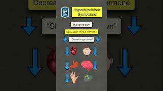 How to Remember Hypothyroidism Symptoms Nursing NCLEX USMLE [upl. by Allit]