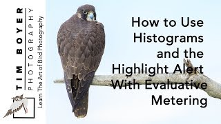 How to Use Histograms and the Highlight Alert with Evaluative Metering [upl. by Kerman]