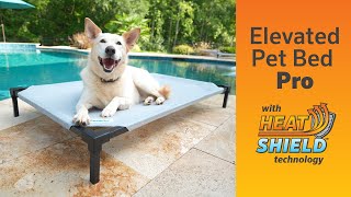 Introducing Coolaroo Elevated Pet Bed Pro with HeatShield [upl. by Gaynor]