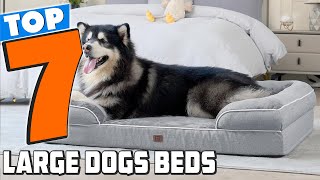 Top 7 Dog Beds for Large Breeds in 2024 [upl. by Kellen]