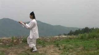 China Wudang Kungfu  Taiji 13 Forms  Master Chen Shixing [upl. by Conn]