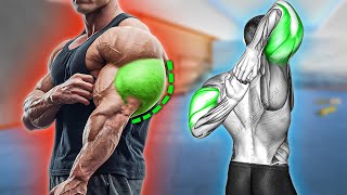 5 Triceps Exercises to Increase Arm Size [upl. by Shult]