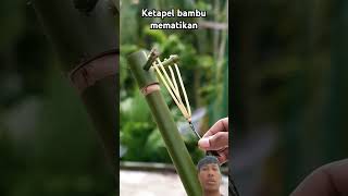 KETAPEL BAMBU MEMATIKAN Bambooidea reaction satisfying bamboo nature amazing handmade diy [upl. by Suinuj885]