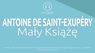 MAŁY KSIĄŻĘ – Antoine de SaintExupery  streszczenie i opracowanie lektury  audiobook nauqa [upl. by Barncard185]