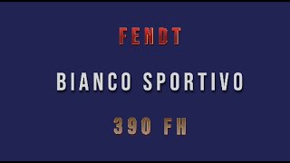 caravan Fendt Bianco Sportivo 390 FH [upl. by Ruzich]