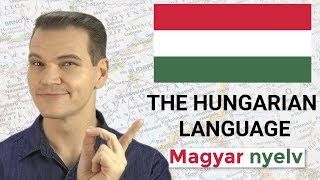 MAGYAR NYELV The Hungarian Language is MINDBLOWING [upl. by Wolliw]