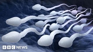 Male contraceptive pill a real possibility say scientists  BBC News [upl. by Lodhia]