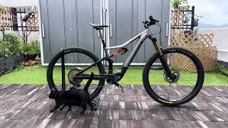 Orbea Rise H30 [upl. by Eb]