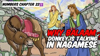 The story of Balaam and his talking Donkey in Nagamese  Balak Summons Balaam Number chapter 22 [upl. by Ericha205]