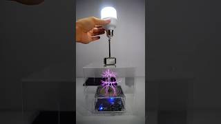 Tesla coil  glass box  hemar lighting bulb lightbulb teslacoil teslalovers [upl. by Hirst]