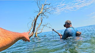 Un día de pesca épico en Sinaloa Pargos Tiburón Ostiones y Más [upl. by Jecho]