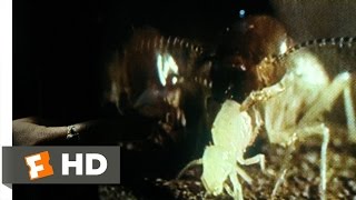 Mimic 19 Movie CLIP  Entomology 101 1997 HD [upl. by Aynekal]