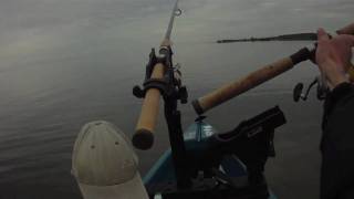 39  Kayak fishing on the Indian River Lagoon for RedFish [upl. by Noira]