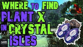 Ark Crystal Isles Where to Find Plant Species X Seeds [upl. by Ikairik]