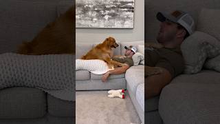 Saying my dogs favorite words in my sleep [upl. by Cort]