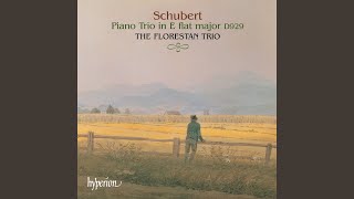 Schubert Piano Trio No 2 in EFlat Major D 929 I Allegro [upl. by Ellatnahc]