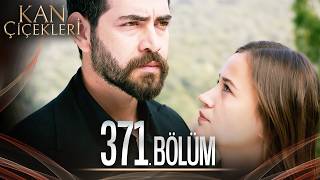 Kan Çiçekleri 371 Bölüm [upl. by Kaitlynn]