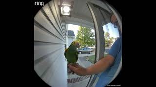 Yoshi testing Ring Doorbell [upl. by Aiekat981]