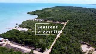 Waterfront lots at the Cerros Peninsula Corozal Belize [upl. by Acker]