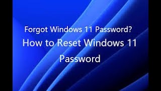 How to Reset Your Windows Password StepbyStep Guide 781011 Password Recovery for Windows [upl. by Pavyer507]