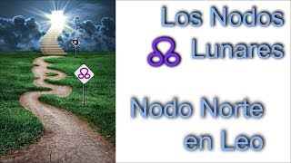 Nodo Norte en Leo  Astrología Psicológica [upl. by Sandeep239]