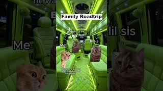 CAT MEMES 🐱Family Roadtrip P2 catmemes relatable shorts viralvideos [upl. by Jorry]