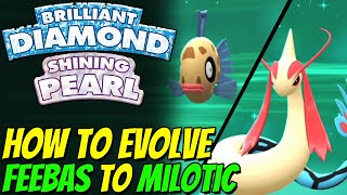 How to evolve FEEBAS to MILOTIC in Pokemon Brilliant Diamond and Shining Pearl [upl. by Janice]