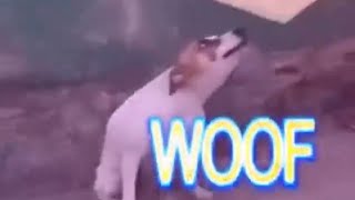 Dancing Brazil dog meme [upl. by Htieh925]