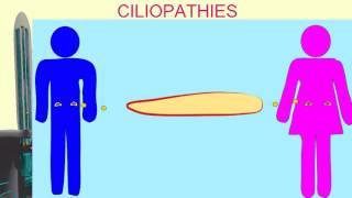 CILIOPATHIES [upl. by Kinom]