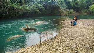 How to Make Simple Fish Trap From Bamboo The SECRET to Catching Big Fish [upl. by Naresh]