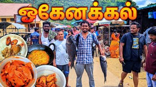 🔥ஒகேனக்கல் கொண்டாட்டம்  ஒகேனக்கல் அருவி  HOGENAKKAL FALLS  FISH FRY  FISH RECIPE KARNATAKA  K7 [upl. by Haukom]