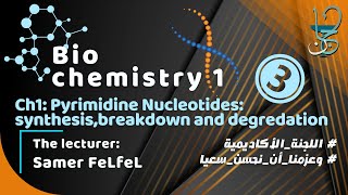 Biochemistry 1 Ch1 part 3  Pyrimidine Nucleotides synthesis breakdown and salvage [upl. by Enyamrahs]