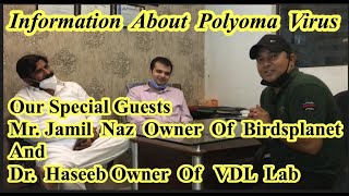 Information About Polyoma Virus Infection In BirdsSpecial Thanks To Our Guests Jamil NazDrHaseeb [upl. by Otcefrep]