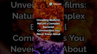 Unveiling Biofilms Natures Complex Bacterial Communities You Never Knew About biologymicrobes [upl. by Scharaga]